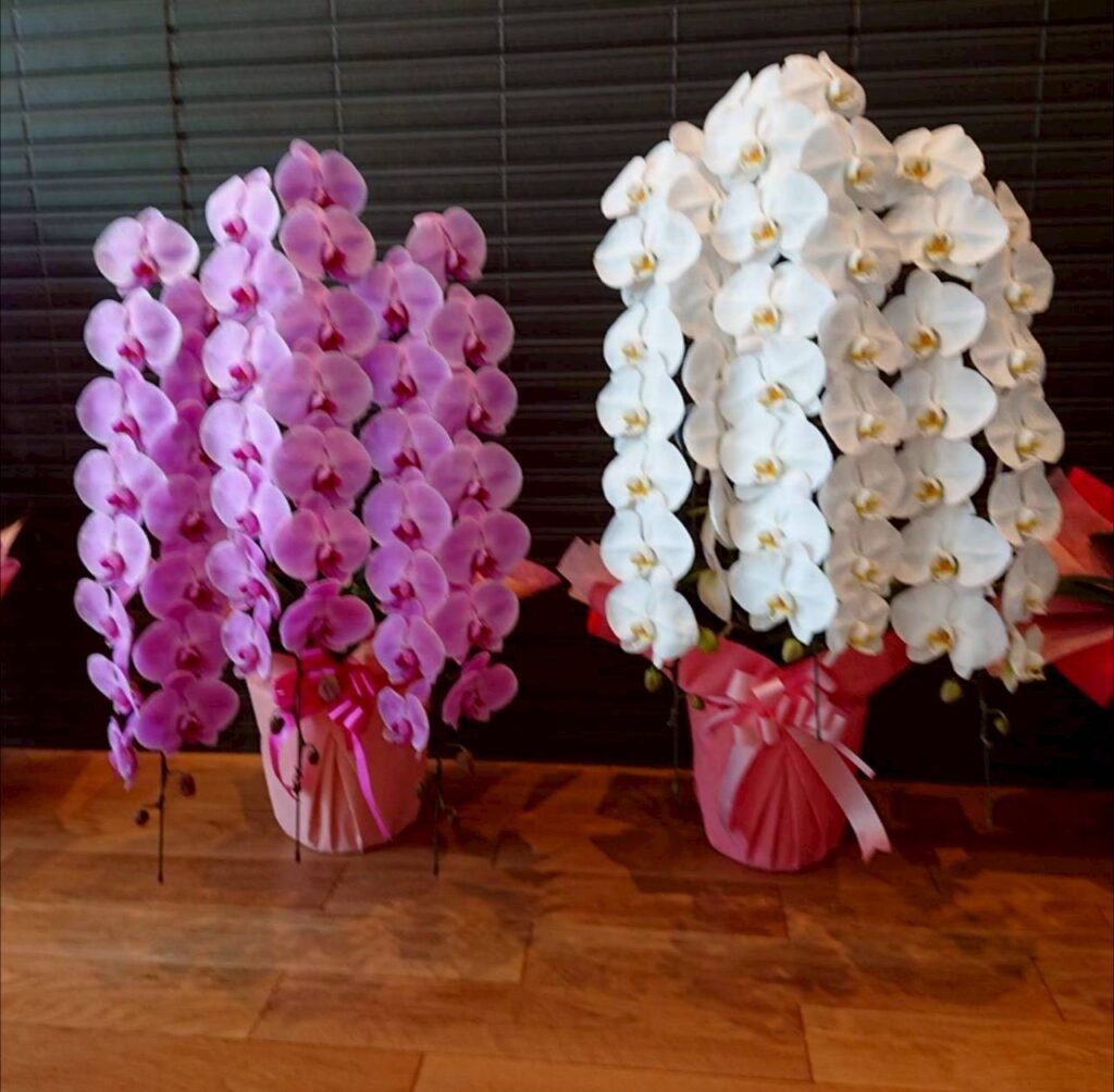 B様店舗開業祝い