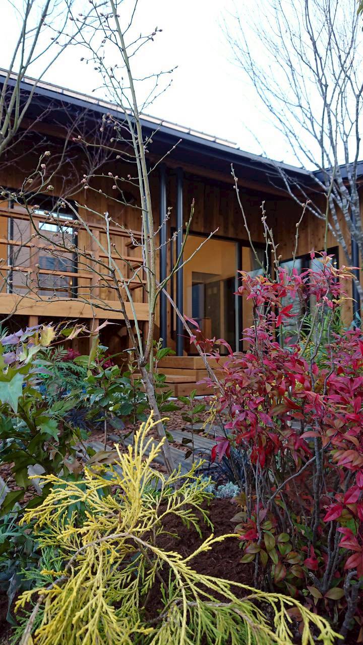 ここにキャプションが表示されます